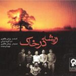 ریشه در خاک